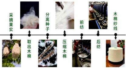 乐鱼体育【纺织原料】木棉纤维(图5)