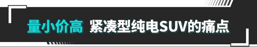 leyu乐鱼秒杀新势力？这款新车实力太强 堪称同级卷王！(图2)