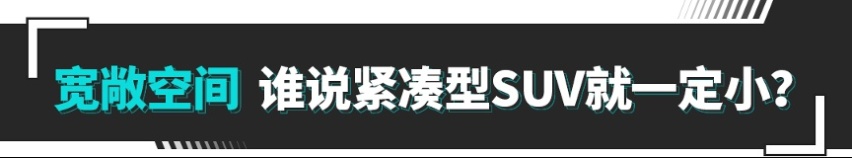 leyu乐鱼秒杀新势力？这款新车实力太强 堪称同级卷王！(图4)