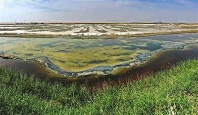 leyu乐鱼沙漠之殇：腾格里沙漠腹地现巨型排污池(图)(图2)